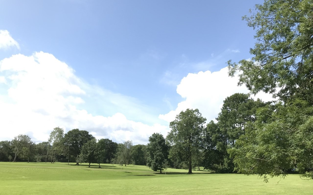 Grounds_3